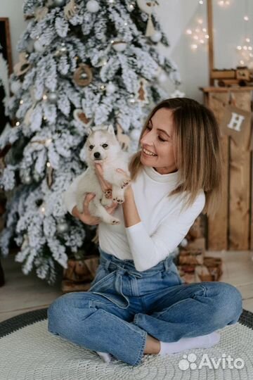 Новогодняя фотосессия в студии