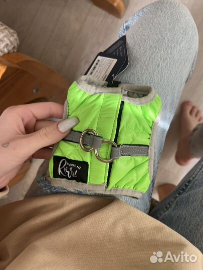 Шлейка жилетка доя маленькой собачки