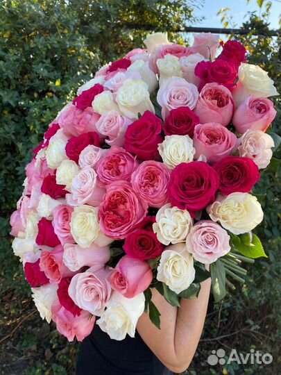 Роза цветы букет опт