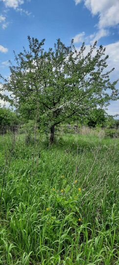 Участок 14 сот. (ИЖС)