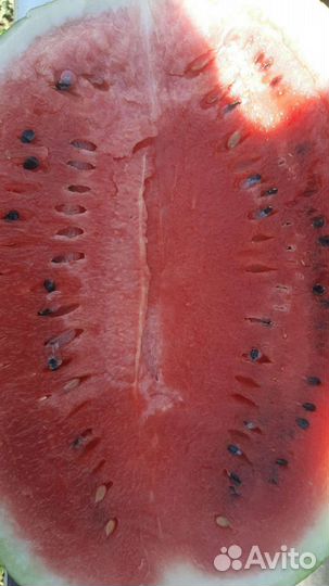 Арбуз