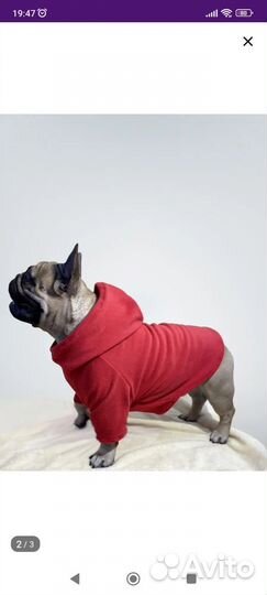Толстовка для французского бульдога р-р S