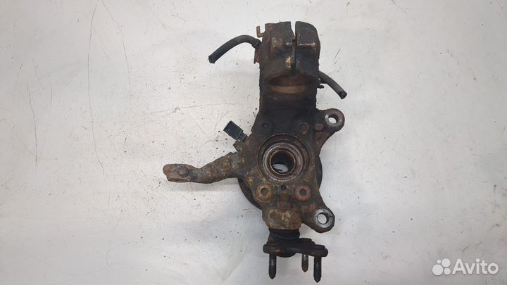 Ступица (кулак, цапфа) Skoda Octavia (A5), 2006