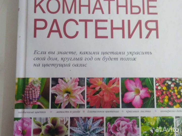 Книга Цветы