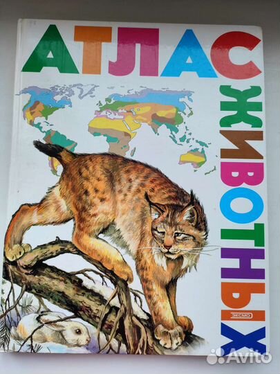 Энциклопедия о животных