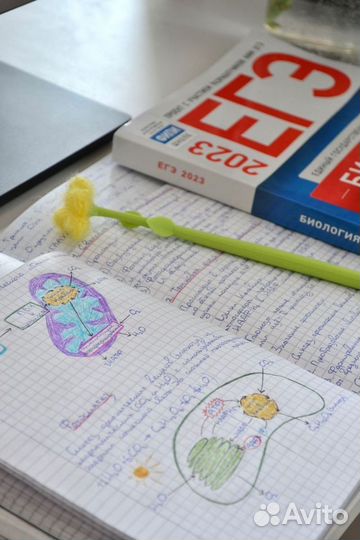 Репетитор по биологии и географии