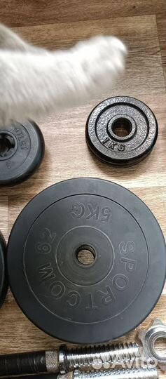 Спортивные блины