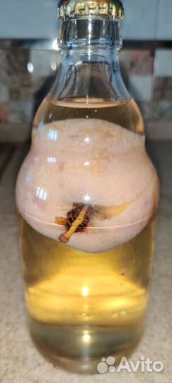 Яблоки, огурец,груша