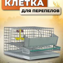 Клетка для перепелов на 10 голов (кп-10), Солнечногорск