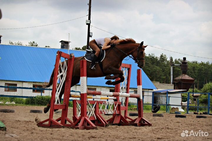 Фотосессии с лошадьми (занятия, прокат)