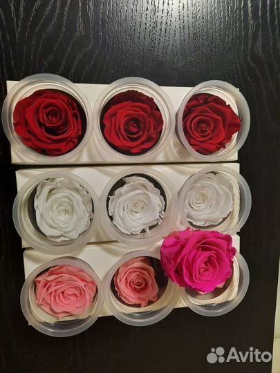 Розы в воске