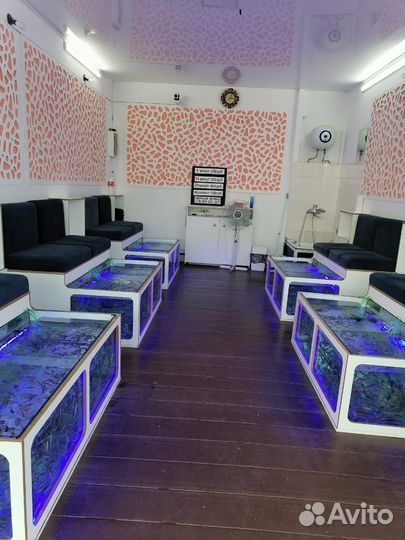 Гарра-руфа размером 5 см