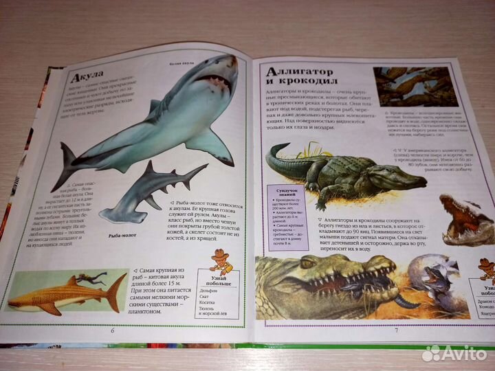 Энциклопедия для детей