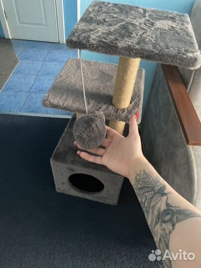 Домик когтеточка новая