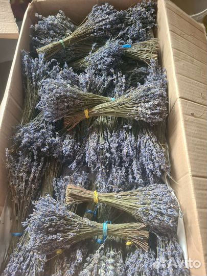 Лаванда крымская,букеты