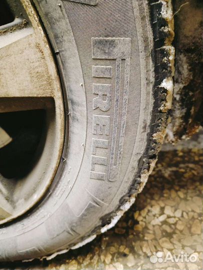 Pirelli P Zero 195/65 R15