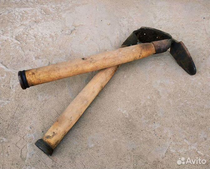 Лапа сапожника раритет