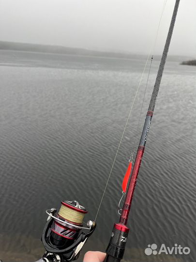 Спиннинг daiwa ninja с катушкой daiwa ninja