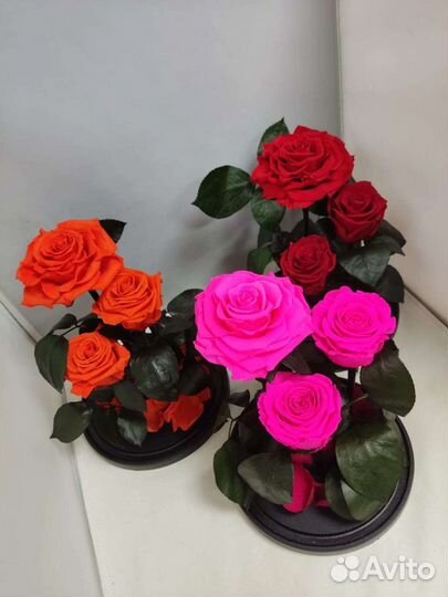 Роза в колбе оптом и в розницу