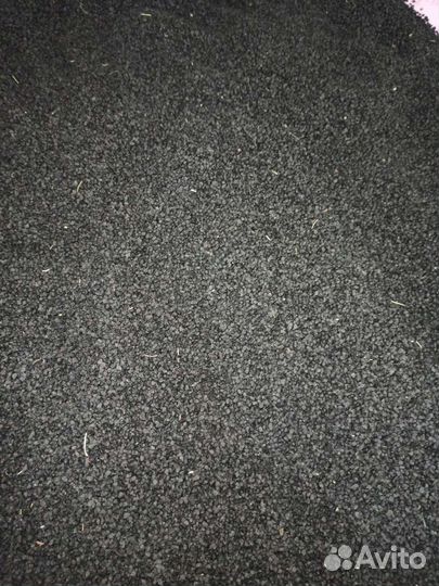 Семена лука чернушка