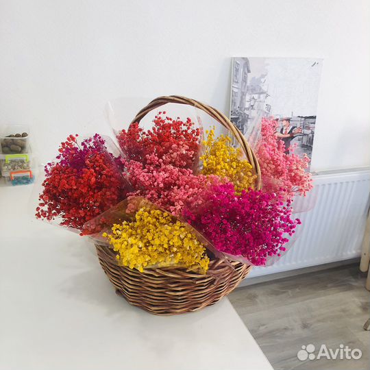 Стабилизированная гипсофила