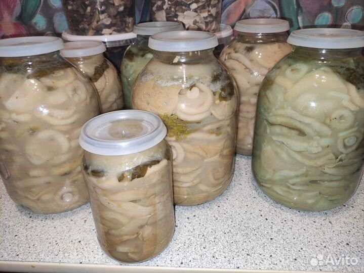 Грузди черные и белые соленые