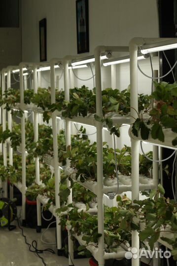 Прибыльный бизнес