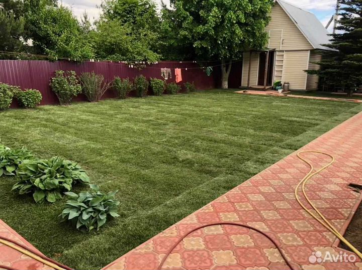Укладка и продажа газона