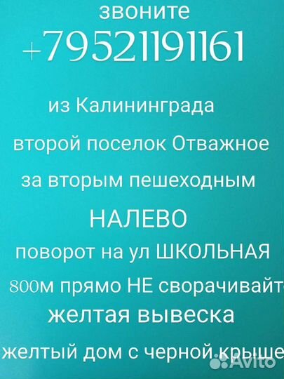 Роза спрей Candy Flow саженцы