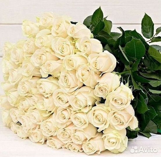 Розы Букеты Цветы Розы 31 101 151 201 Доставка