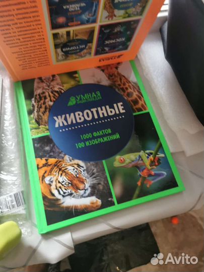 Книги,цветы искусственные в кашпо