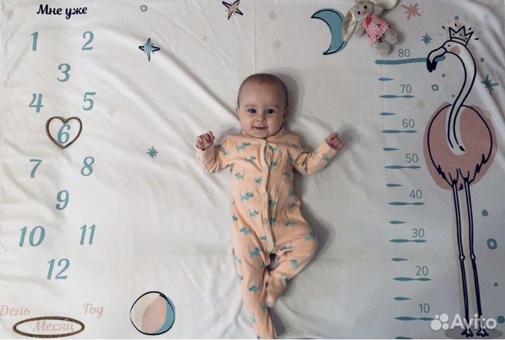 Фотоплед для фотосессии