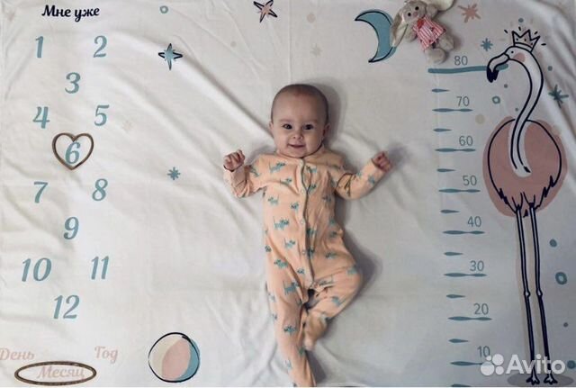 Фотоплед для фотосессии