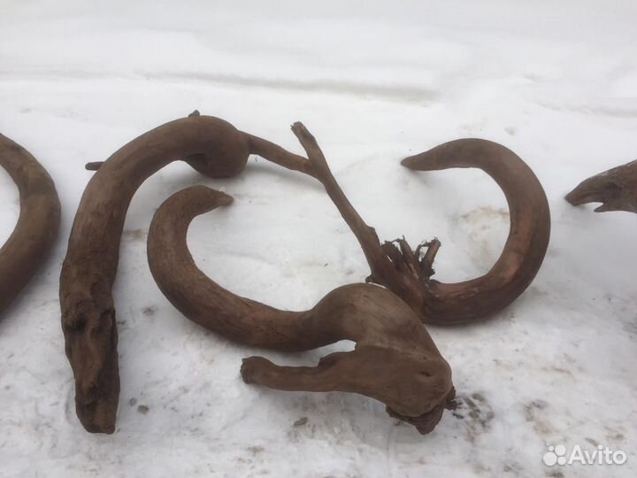 Коряги для террариума