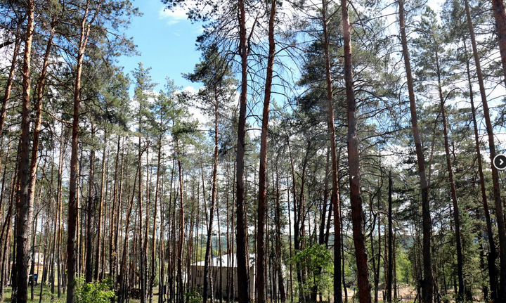 Участок 9,6 сот. (ИЖС)