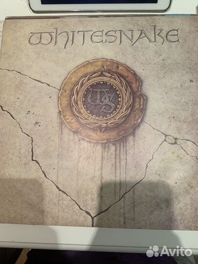 Виниловая пластинка white snake