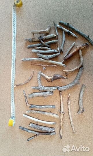 Сосновые веточки палочки для дрифтвуда