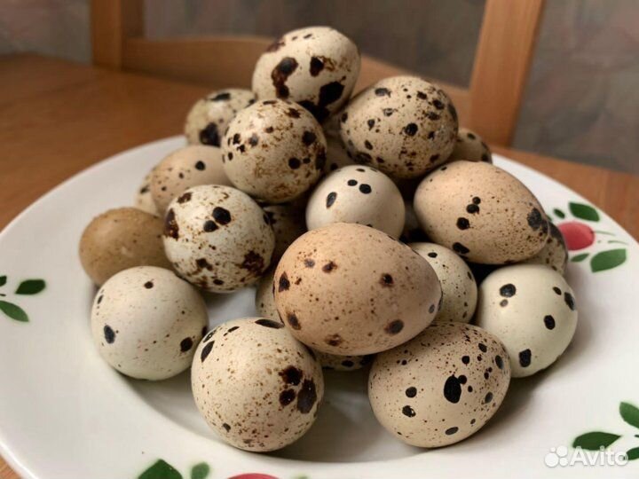 Яйца перепелиные