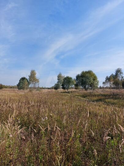 Участок 12 га (СНТ, ДНП)