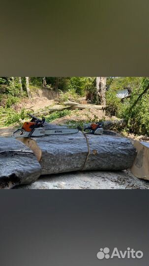 Спил деревьев