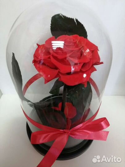 Вечная роза в колбе