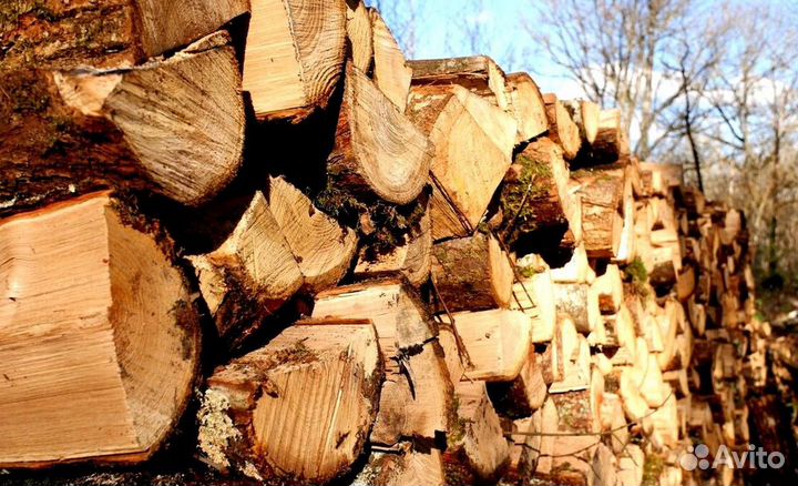 Дрова из дровника