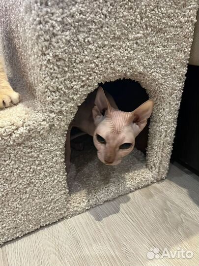 Лесенка прикроватная для собак и кошек