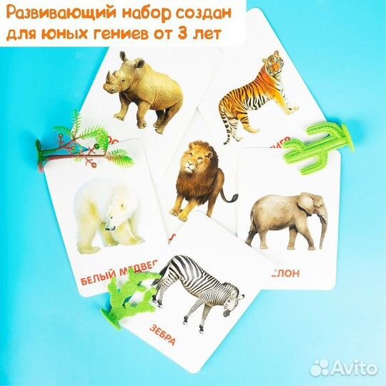 Zabiaka Развивающий набор с карточками по методике