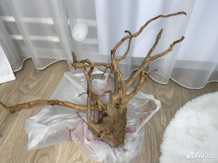 Коряги для аквариума