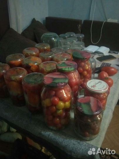 Помидоры домашние