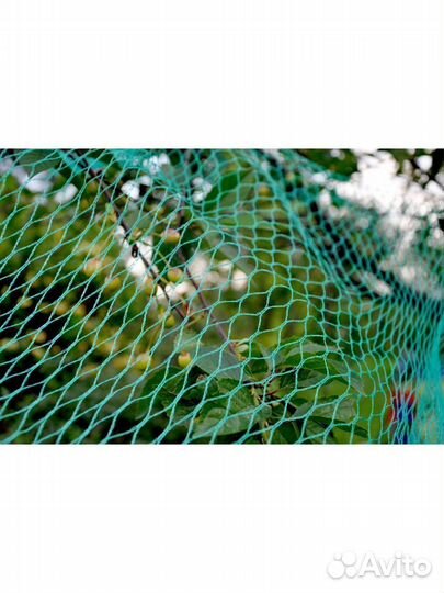 Podkormin Сетка от птиц для защиты урожая, 2х10 м