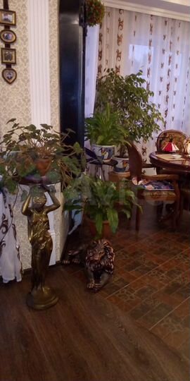 Дом 175 м² на участке 11 сот.