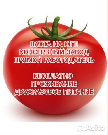 Вахта без проверки сб трёхразое питание Юг