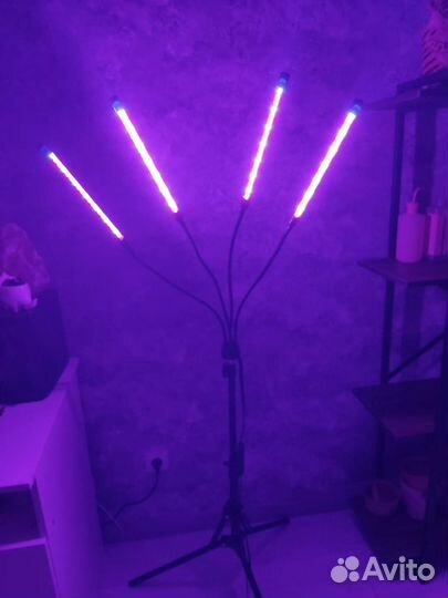 Фитолампа для растений